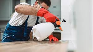 Best Residential Pest Control  in Munsons Corners, NY